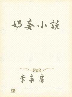 奶妾小说