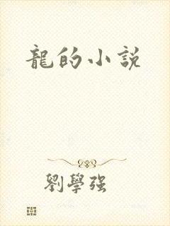 龙的小说