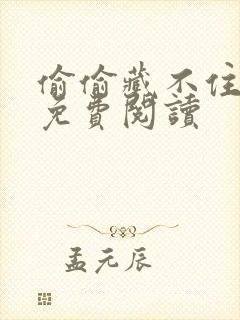 偷偷藏不住小说免费阅读