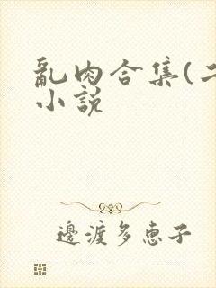 乱肉合集(二)小说