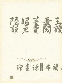 陆昭菱晋王的小说免费阅读