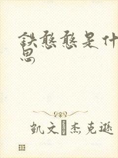 铁憨憨是什么意思