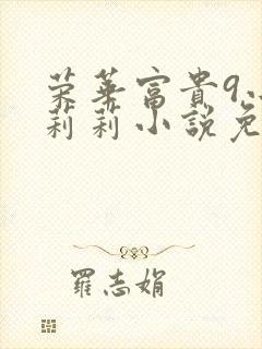 荣华富贵9小王莉莉小说免费阅读