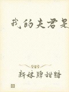 我的夫君是冥王