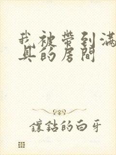 我被带到满是玩具的房间