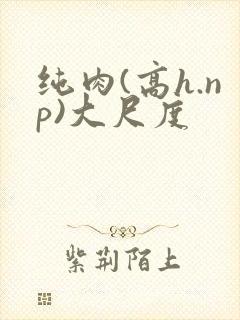 纯肉(高h.np)大尺度