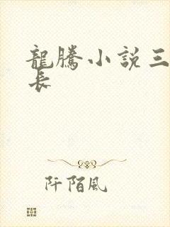 龙腾小说三宝局长