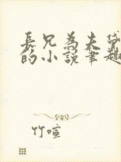 长兄为夫黛珂妃的小说笔趣阁全文