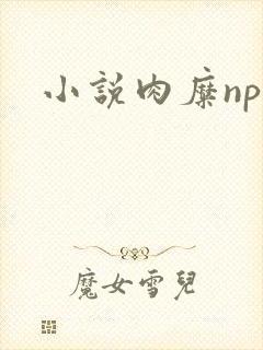 小说肉糜np