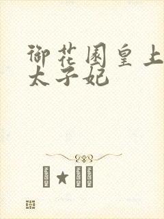 御花园皇上撞着太子妃