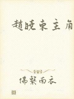 赵晓东主角小说