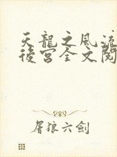 天龙之风流猎艳后宫全文阅读