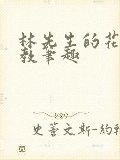 林先生的花式管教笔趣