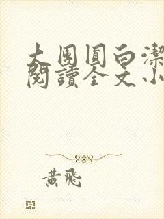 大团圆白洁免费阅读全文小说