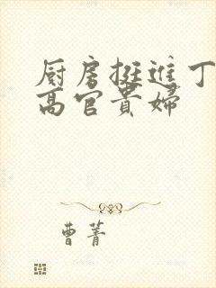 厨房挺进丁字裤高官贵妇