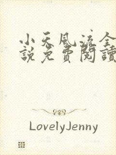 小天风流全集小说免费阅读