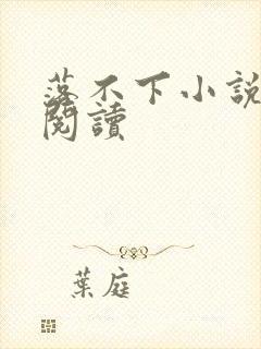 落不下小说免费阅读