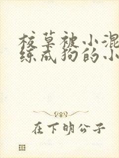 校草被小混混训练成狗的小说