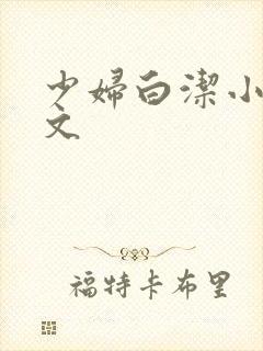 少妇白洁小说全文
