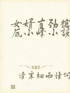 女婿有劲枪枪到底小峰小说