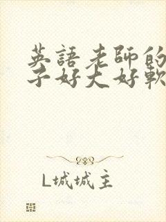 英语老师的小兔子好大好软水