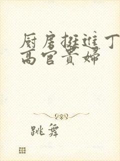 厨房挺进丁字裤高官贵妇