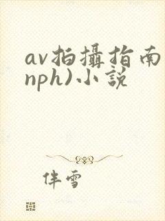 av拍摄指南(nph)小说