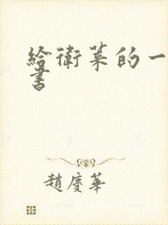 给卫莱的一封情书