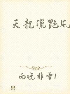 天龙猎艳风流