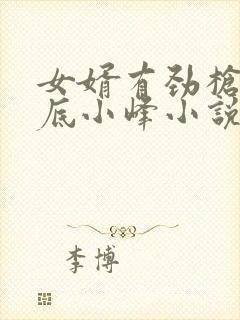 女婿有劲枪枪到底小峰小说