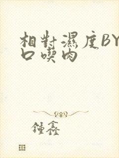 相对湿度BY大口吃肉