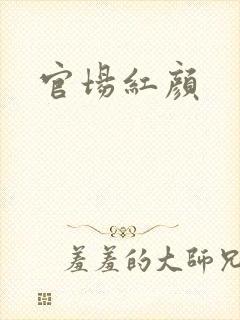 官场红颜