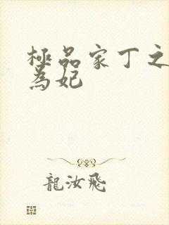 极品家丁之册母为妃