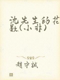 沈先生的花式调数(小非)