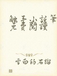 触手小说笔趣阁免费阅读