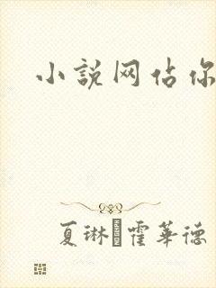 小说网站你懂的