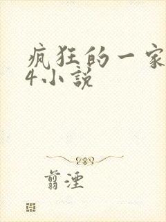 疯狂的一家ps4小说