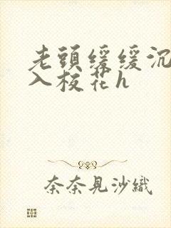 老头缓缓沉腰进入校花h