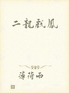二龙戏凤
