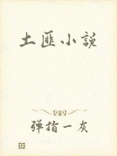土匪小说