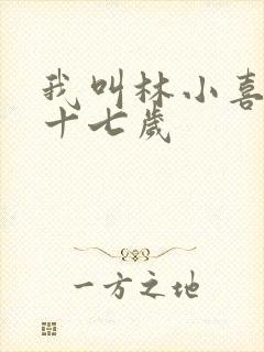 我叫林小喜今年十七岁