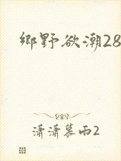 乡野欲潮28章