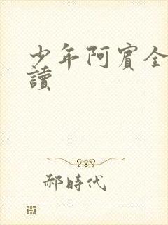 少年阿宾全集阅读