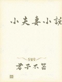 小夫妻小说
