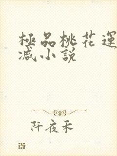 极品桃花运未删减小说