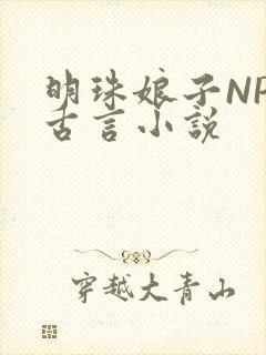 明珠娘子NPC古言小说