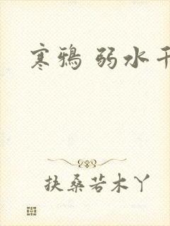 寒鸦 弱水千流