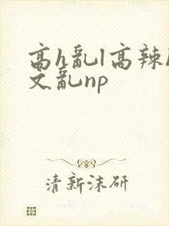 高h乱l高辣h文乱np