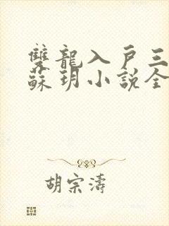 双龙入户三人行苏玥小说全文阅读