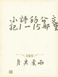 小诗的公交车日记1一15哪里能看